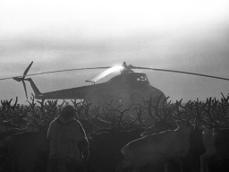 Вертолет на пастбище оленеводческого колхоза. Март 1973 г.