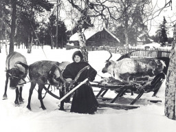 Юный оленевод. Февраль 1982 г.