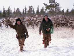 Династия оленеводов Сулентьевых. 1990-е