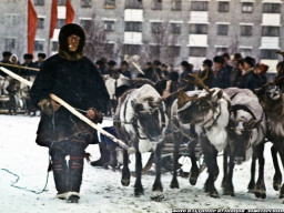 Праздник Севера и День оленевода. Ловозеро. Конец 80-х