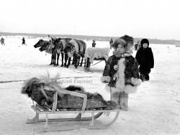 Ловозерье