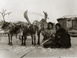 У оленьей упряжки. Кириллов Евдоким (саами) и Хатанзей Николай (ненец). Ловозеро. 1958 год