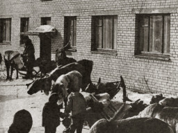 Фото из журнала &quot;Огонёк&quot; N 21 1968 год. Ловозеро