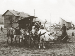 У правления оленеводческого колхоза «Доброволец» Ловозерского района. 1930-е