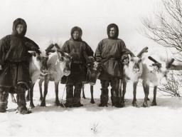 Оленеводы колхоза &quot;Тундра&quot;. 1961 год