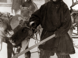 Семяшкин Григорий Максимович, оленевод совхоза «Тундра». 1981 г.