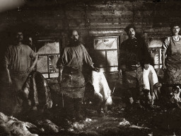 Замшевый завод. Село Ловозеро. Шкуры, вынутые из чана. Стрижка шерсти. 1930-е гг.