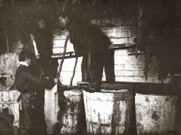 Замшевый завод. Село Ловозеро. Шкуры в чанах. 1930-е гг.
