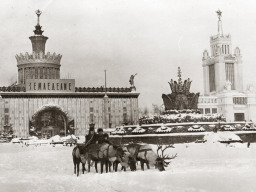 Оленья упряжка Кузьмина Василия Егоровича (крайний слева), пастуха-оленевода колхоза «Тундра» Ловозерского района на ВДНХ СССР. 1970 г.