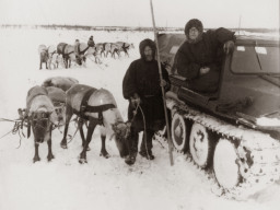 Встреча в тундре оленьей упряжки и вездехода. 1970 г.