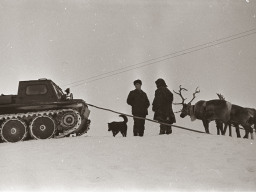 Встреча в тундре: вездеход с оленьей упряжкой. 1970 г.