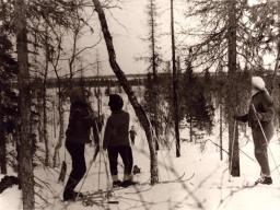 На лыжне в лесу близ села Ловозеро 1968