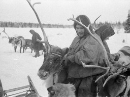 Старший методист отдела культуры с. Ловозеро Канев Василий Васильевич и заместитель бригадира оленеводческой бригады № 2 совхоза «Тундра» Хатанзей Петр Ефимович во время съемок на телевидении. 1972 год