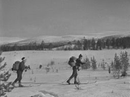 Вид с озера Пунчи на Ловозерские тундры. Апрель 1971 года