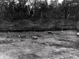 Раскоп на стоянке Ловозеро III. 1970 год