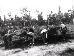 Раскоп на стоянке Ловозеро I. 1970 год