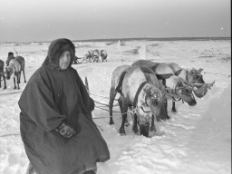 Оленевод совхоза «Тундра» Чупров Василий Иванович на районном Празднике Севера в Ловозере. 1982 год