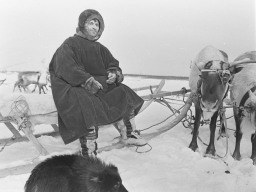 Оленевод совхоза «Тундра» Юлин Виктор Степанович на оленьей упряжке во время районного Праздника Севера в Ловозере. 1982 год