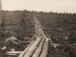 Общий вид заболоченности и настила по ней с Ловозерской стороны. 1925 год