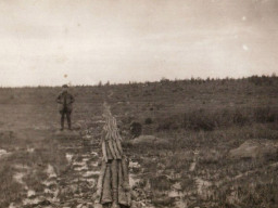 Общий вид заболоченности и построенного настила у села Ловозеро. 1925 год