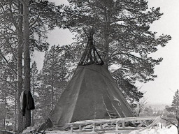 Кувакса - летнее жилище саамов. 1972 год