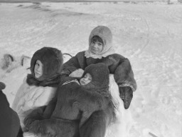 Дети-саами в малицах на нартах.1981 год