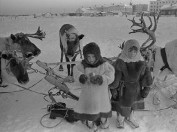 Дети-саами в малицах на фоне оленьих упряжек. 1981 год
