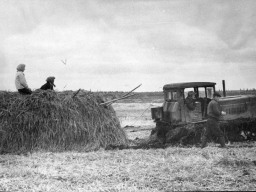 Уборка сена в совхозе «Тундра». 1970-е