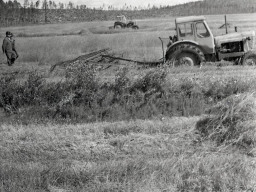 Уборка кормов в совхозе «Тундра». 1972 год