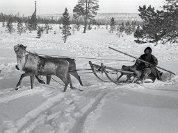 На просторах Ловозерской тундры. 1971 год