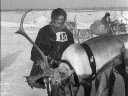 Районный Праздник Севера. К.П. Захаров, пастух-оленевод совхоза «Тундра». 1970 год