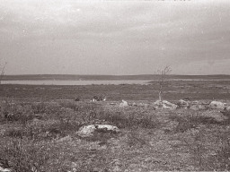 Ловозерская тундра летом. 1971 год