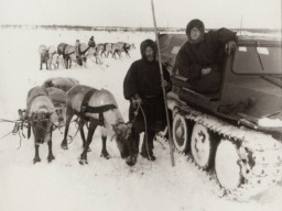Встреча в тундре оленьей упряжки и вездехода. 1970 год