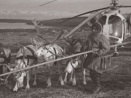 Вертолет Ка-26 прибыл к оленеводам 8-й бригады колхоза «Тундра». 1970 год