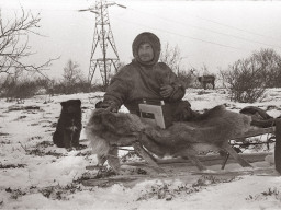 Фефелов Григорий Александрович, оленевод совхоза «Тундра». Октябрь 1971 года