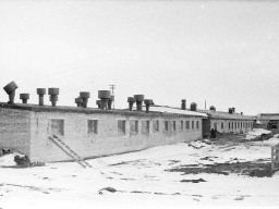 Вид на новые молочно-товарные фермы совхоза «Тундра» - коровники. 1972 год