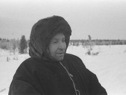 Галкин Василий Алексеевич, пастух-оленевод, бригадир оленеводческой бригады № 2 совхоза «Тундра». 1972 год