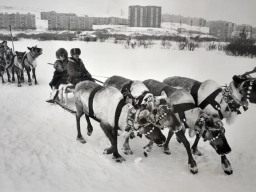 Ловозерские оленеводы на Празднике Севера в г.Мурманск. 1990-е