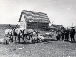 Село Воронье