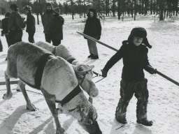 Кружок &quot;Юный оленевод&quot;. Ловозеро