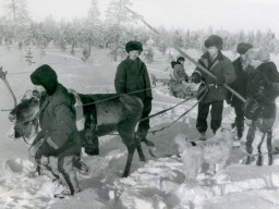 Кружок &quot;Юный оленевод&quot;. Ловозеро