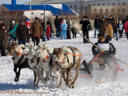 Чемпион!