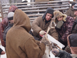 СХПК Оленевод. В.Кузнецов