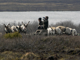 В дозоре.