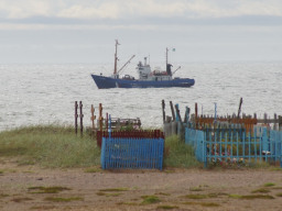 Терский берег. В.Кузнецов