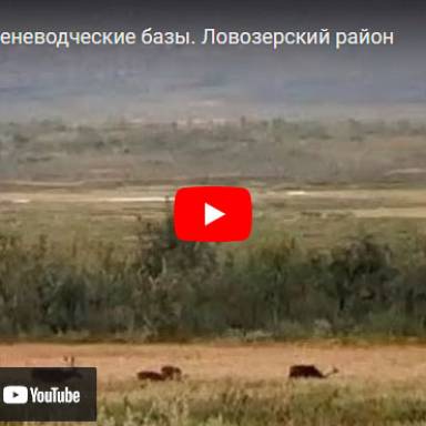 Лето. Оленеводческие базы. Ловозерский район