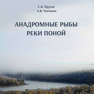 Анадромные рыбы реки Поной